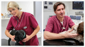 Auszeichnung für Herzforschung bei Hund und Katze