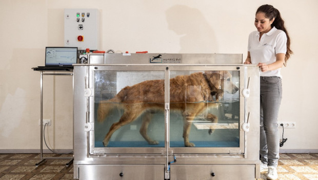 Das Unterwasserlaufband von Huffys-Fit steht nun bei Zoo & Co. in Gütersloh und Ettlingen.