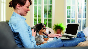 Warum Hund und Katze jetzt besonders wichtig sind