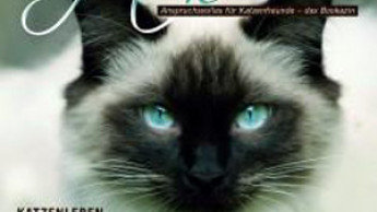 Neue Zeitschrift für Katzenfreunde