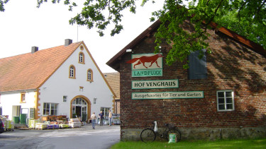 Traumstart ins neue Jahr