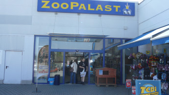 Zoopalast in Turbulenzen