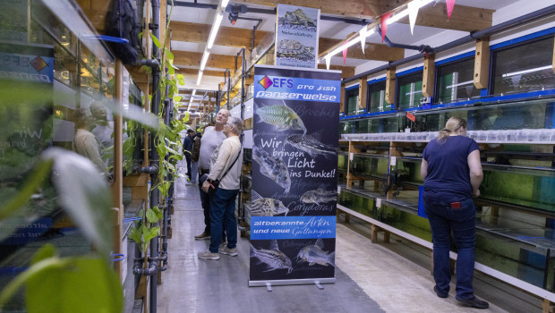 Die EFS-Hausmesse als zweitägiges Aquaristik-Event ist ein beliebter Branchentreffpunkt, 2024 kamen über 600 Besucher.