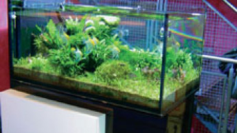 Unkonventionelles Aquaristik-Konzepet Unkonventionelles Aquaristik-Konzepet