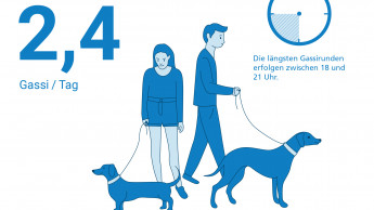 Deutsche Hundehalter gehen gerne Gassi