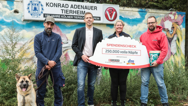 Bei der Spendenübergabe (von links): Sebastian Wolf vom Tierheim, Sven Bahri (dm), Petra Gerigk (Tierheim) und Benedikt Schaumann (Purina).
