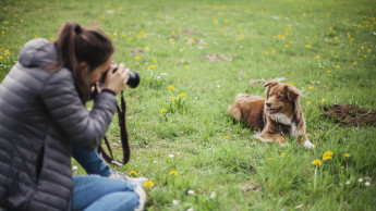 Faszination Heimtierwelt startet Fotowettbewerb