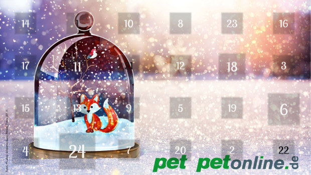 Adventskalender Adventskalender