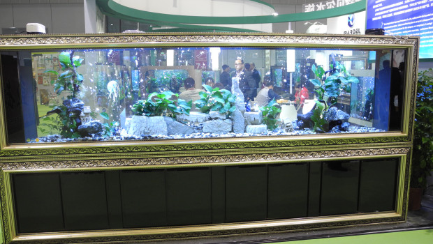 Wieder einmal stand auf der CIPS die Aquaristik im Mittelpunkt.