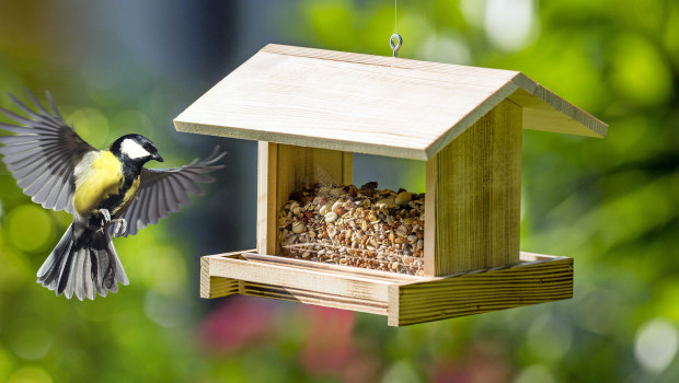 Rolli-Pet, Wildvogelfutter, Heimtierfutter